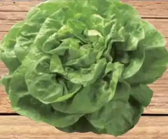 E-Center Kopfsalat Angebot