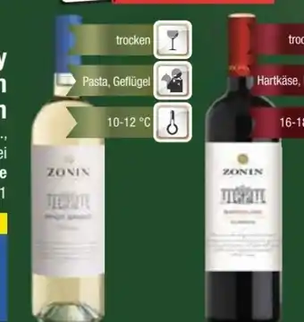E-Center Zonin Pinot Grigio Angebot