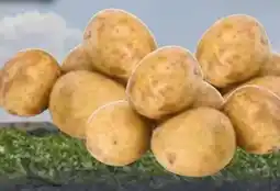 Edeka Speisekartoffeln Angebot