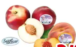 Edeka SanLucar Nektarine Angebot