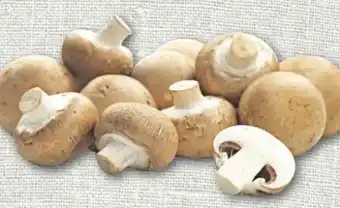 nahkauf Rewe Regional Braune Champignons Angebot