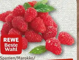 nahkauf Rewe Beste Wahl Frische Himbeeren Angebot