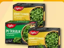 REWE Center Iglo Schnittlauch Angebot