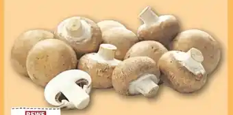 REWE Center Rewe Regional Champignons Angebot
