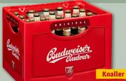 REWE Center Budweiser Budvar (CZ) Czech Premium Lager Angebot