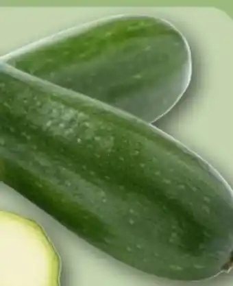 REWE Center Rewe Regional Zucchini Angebot
