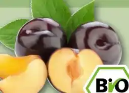 REWE Center Rewe Bio Pflaumen Angebot