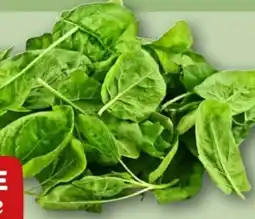 REWE Center Rewe Beste Wahl Blattspinat Angebot