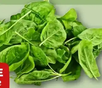 REWE Center Rewe Beste Wahl Blattspinat Angebot