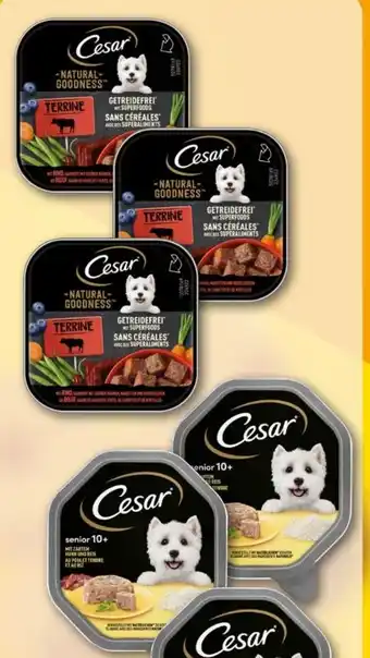 REWE Center Cesar Natural Goodness Hundenahrung Angebot