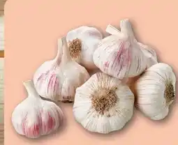 REWE Center Knoblauch Angebot
