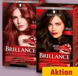 REWE Center Schwarzkopf Brillance Intensiv-Color Creme Angebot