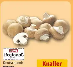 REWE Rewe Regional Champignons Angebot