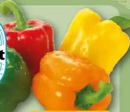 REWE Rewe Regional Paprika-Mix Angebot