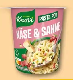 REWE Knorr Pasta Snack Pot Angebot