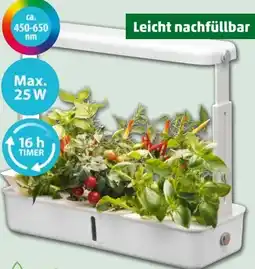PENNY Florana LED-Anzuchtkasten Angebot