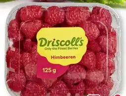 Scheck-in-Center Driscoll's Himbeeren Angebot