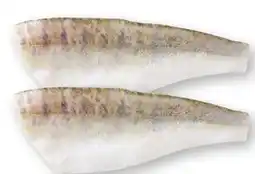 Scheck-in-Center Zanderfilets Angebot