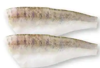 Scheck-in-Center Zanderfilets Angebot