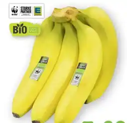 Scheck-in-Center Edeka Bio Bananen Angebot