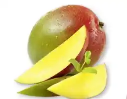 Scheck-in-Center Mango Angebot