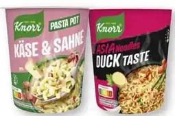 Scheck-in-Center Knorr Pasta Snack Pot Angebot