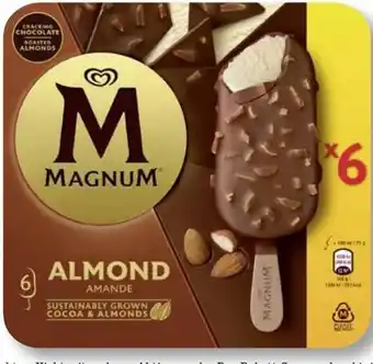 Scheck-in-Center Langnese Magnum Angebot