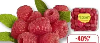 Edeka Driscoll's Himbeeren Angebot