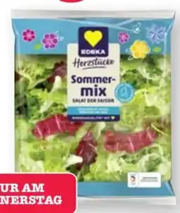 Scheck-in-Center Edeka Herzstücke Sommermix Angebot