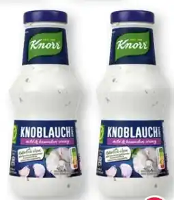Scheck-in-Center Knorr Schlemmersauce Angebot