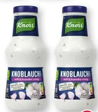 Scheck-in-Center Knorr Schlemmersauce Angebot