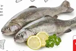 Edeka Regenbogenforellen Angebot