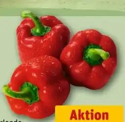 REWE Center Rote Paprika Angebot