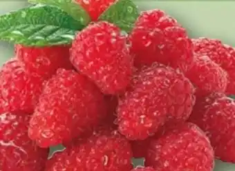 REWE Center Himbeeren Angebot