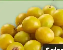 REWE Center Mirabellen Angebot