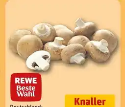 REWE Rewe Beste Wahl Champignons Angebot