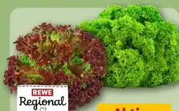 REWE Center Rewe Regional Salat Lollo Bionda Angebot