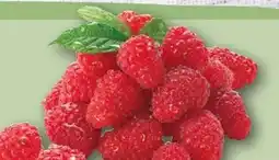 REWE Himbeeren Angebot