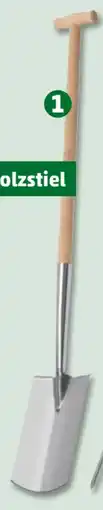 PENNY Meistercraft Edelstahl-Spaten Angebot