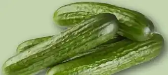 REWE Rewe Regional Mini Gurke Angebot