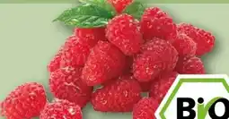 REWE Rewe Bio Bio-Himbeeren Angebot