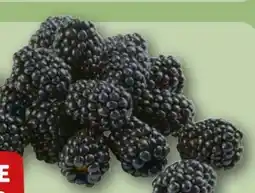 REWE Rewe Beste Wahl Brombeeren Angebot