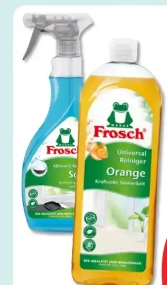 Budni Frosch Universalreiniger Angebot