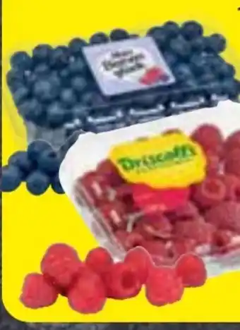 Edeka Frischemarkt Driscoll's Himbeeren Angebot
