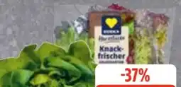 Edeka Frischemarkt Edeka Herzstücke Kopfsalat Angebot