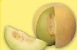 Edeka Frischemarkt Galia Melone Angebot