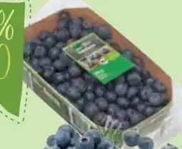Edeka Edeka Bio Bio-Kulturheidelbeeren Angebot