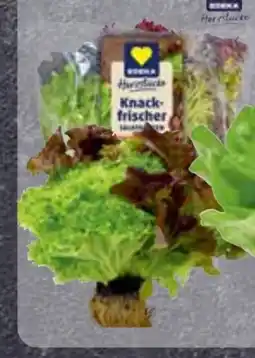 Edeka Edeka Herzstücke Kopfsalat Angebot