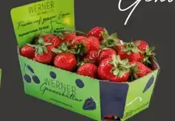 REWE Center Werner Genusskultur Erdbeeren Angebot