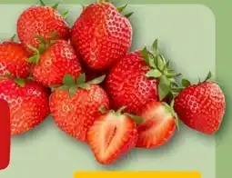 REWE Rewe Beste Wahl Erdbeeren Premium Angebot